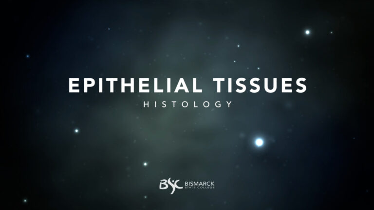 Epithelial Tissues Title over light orbs